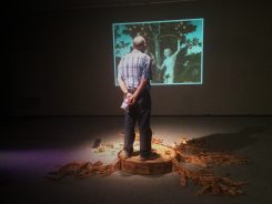 Snake - interactive art installation